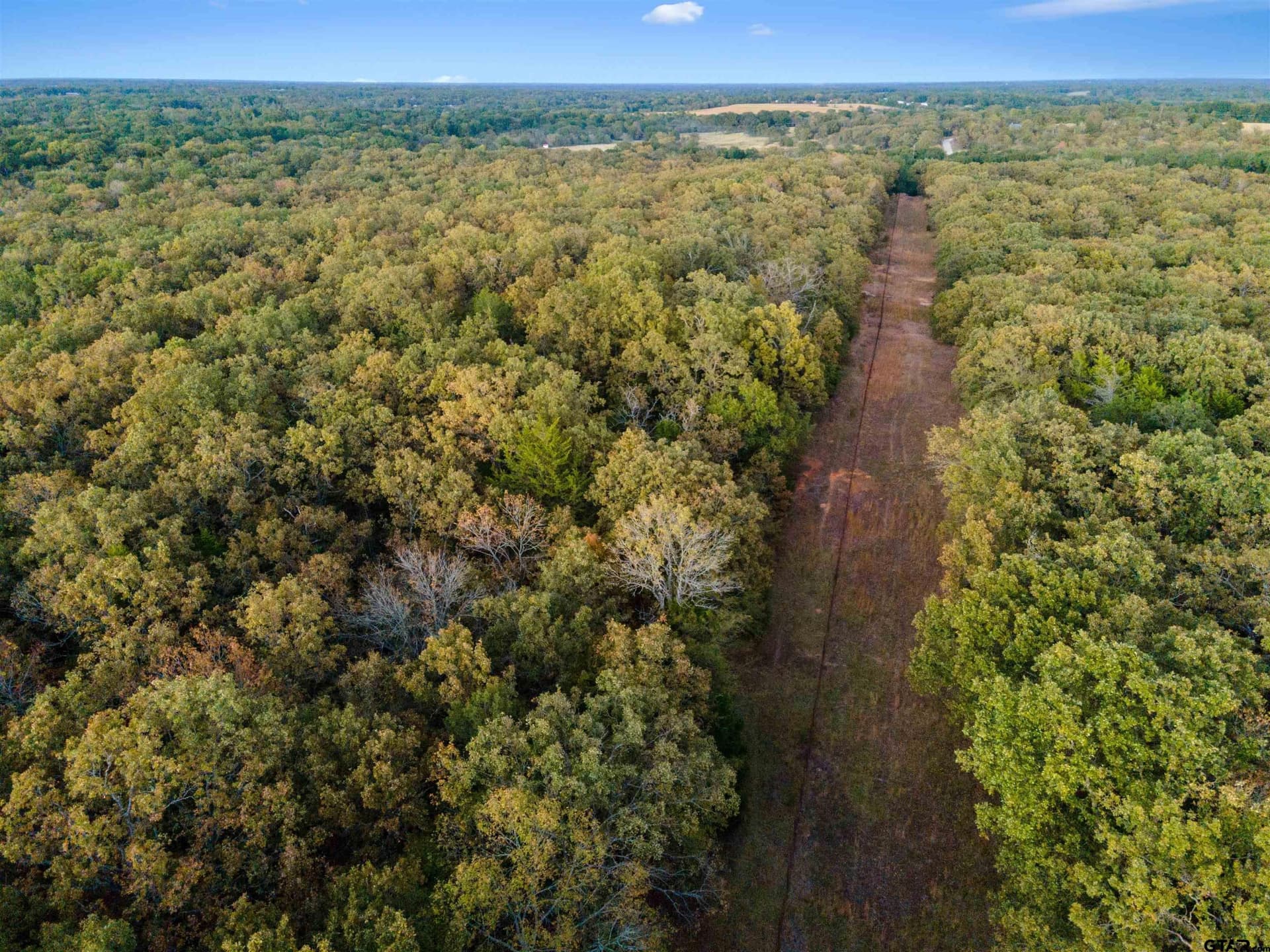 5 acres in Van Zandt County gallery image 4