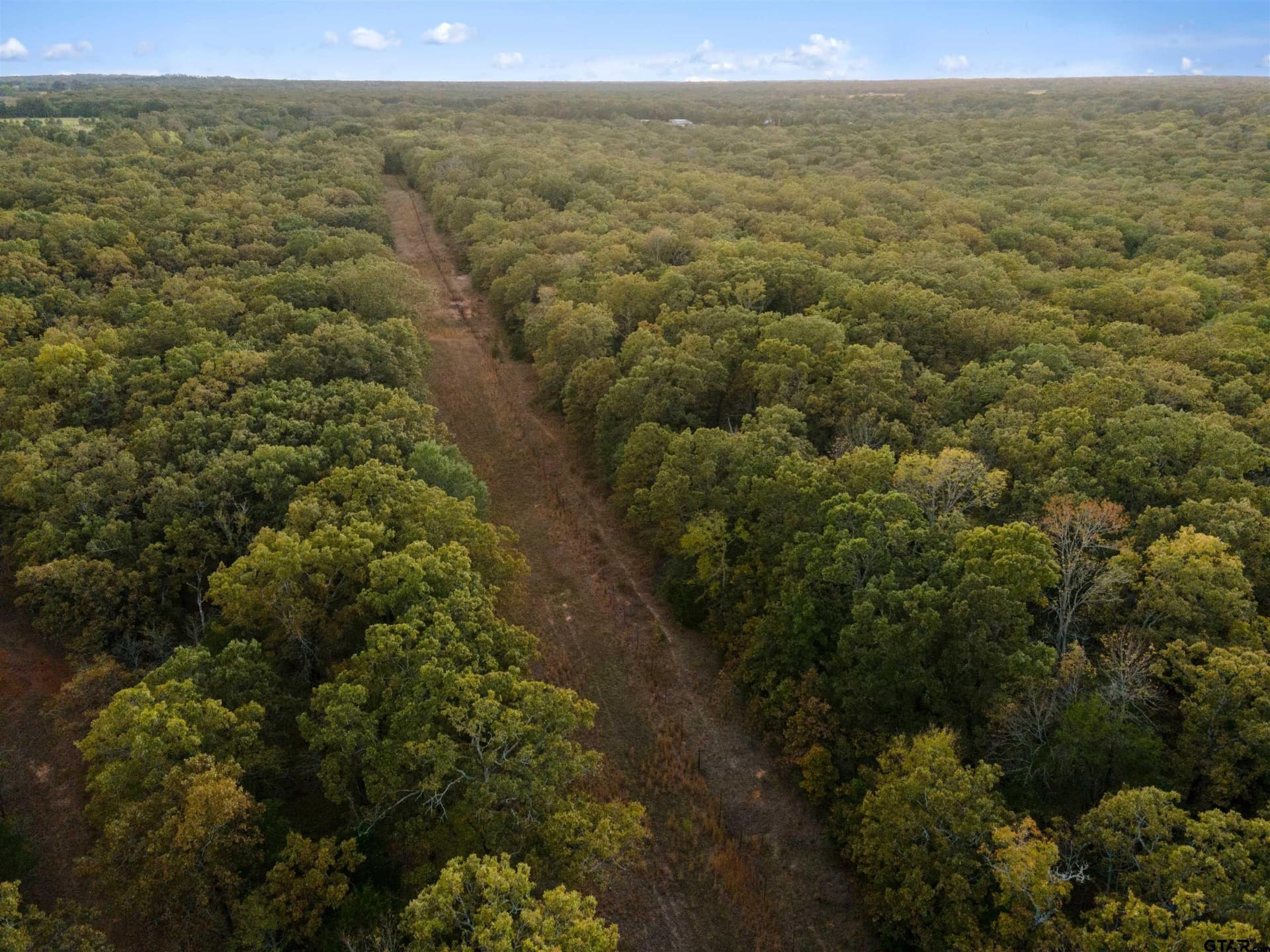5 acres in Van Zandt County gallery image 3