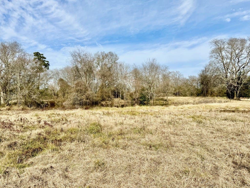 10.01 acres in Texas County - photo 10