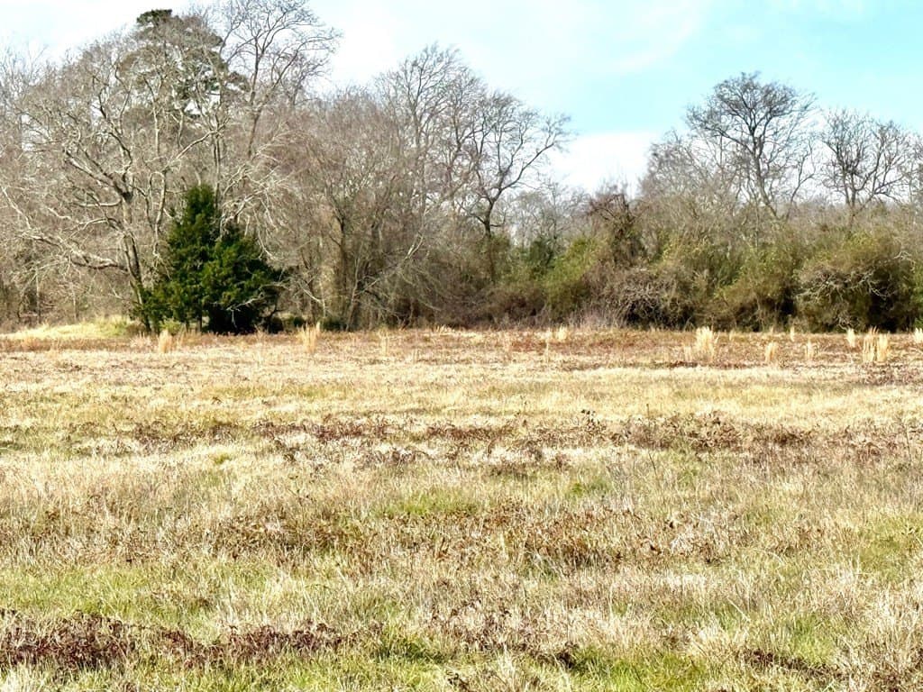 10.01 acres in Texas County - photo 12