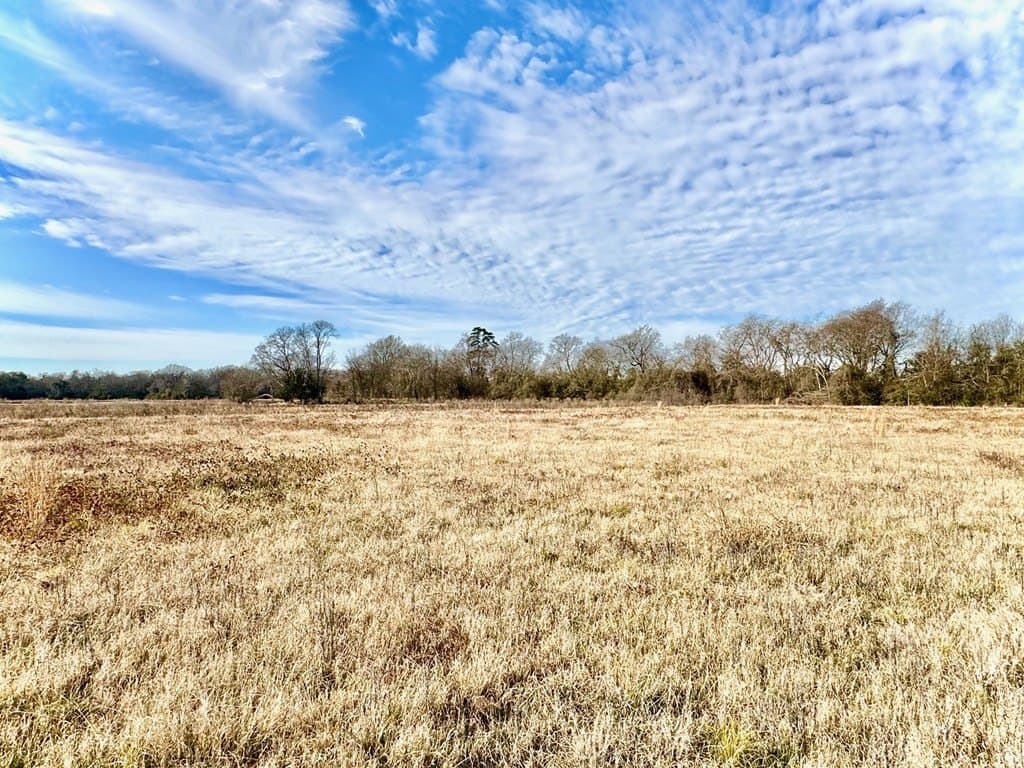 10.01 acres in Texas County - photo 7