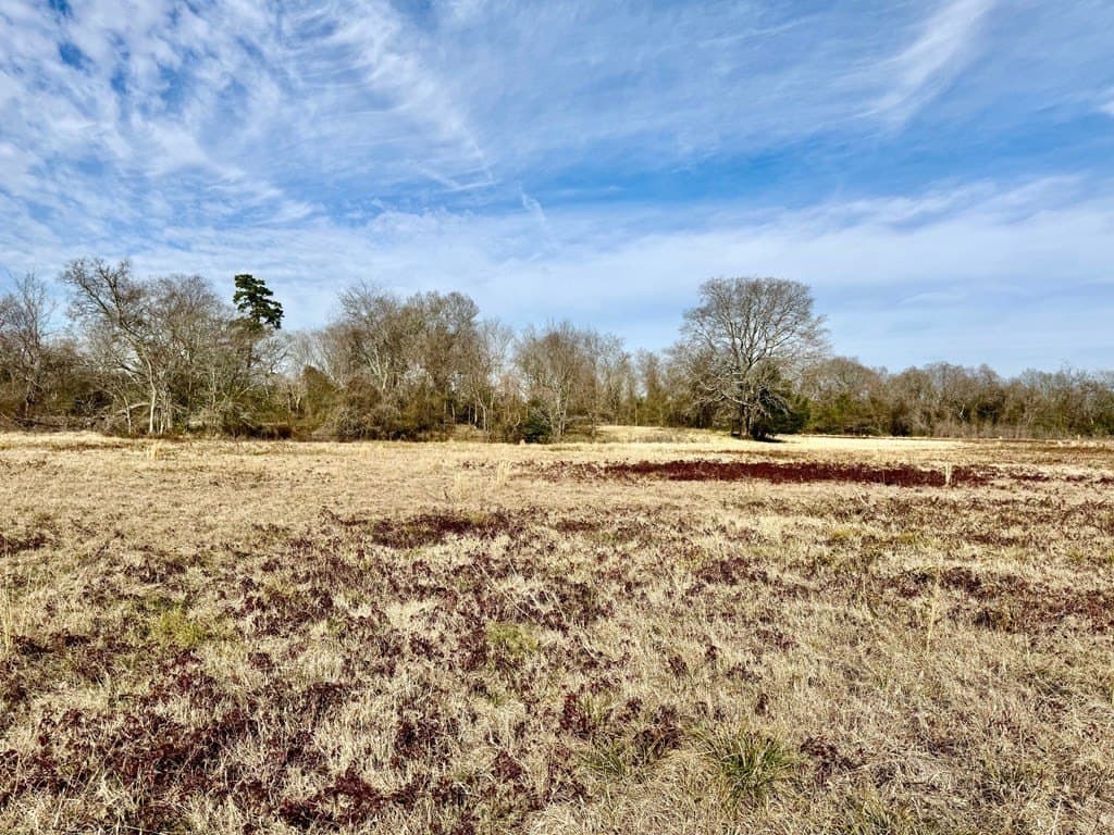 10.01 acres in Texas County - photo 11