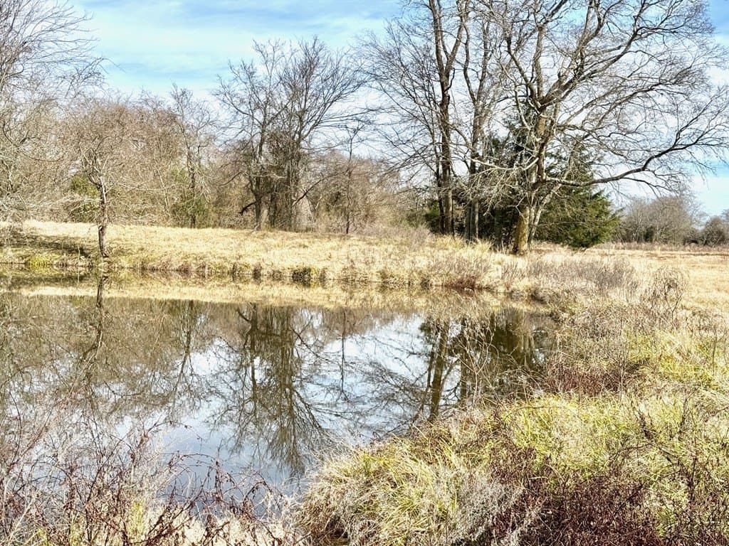 10.01 acres in Texas County - photo 6