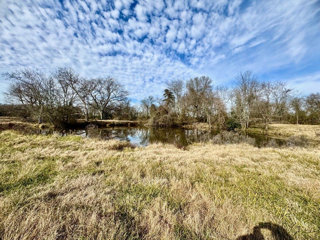 10.01 acres in Texas County - photo 5