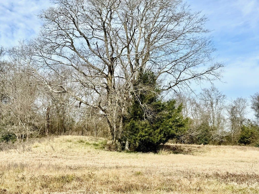 10.01 acres in Texas County - photo 8