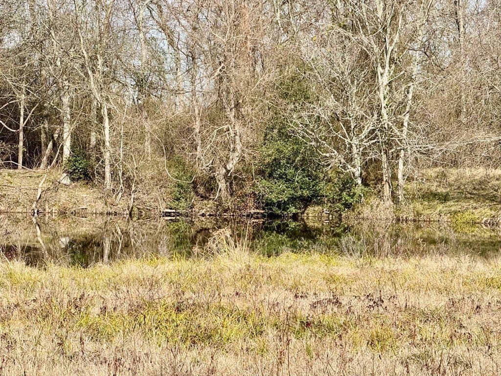 10.01 acres in Texas County - photo 4