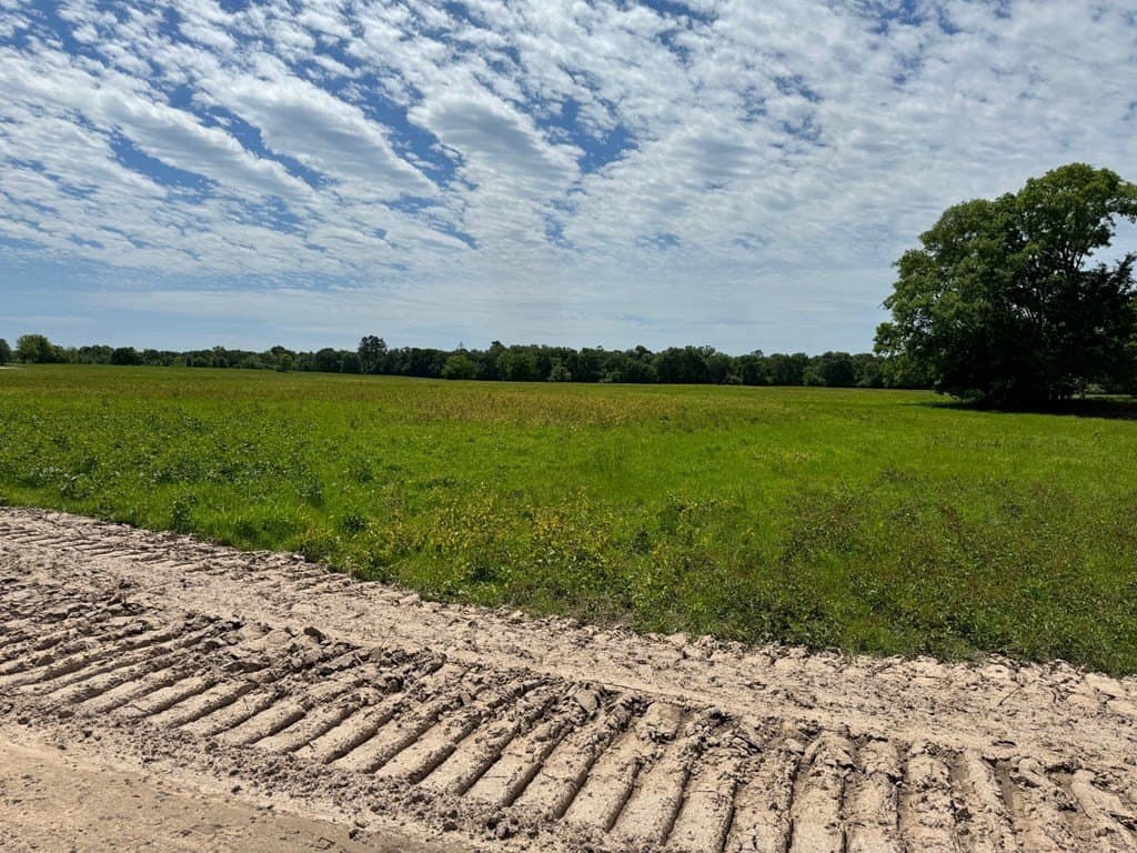 10.01 acres in Texas County - photo 14