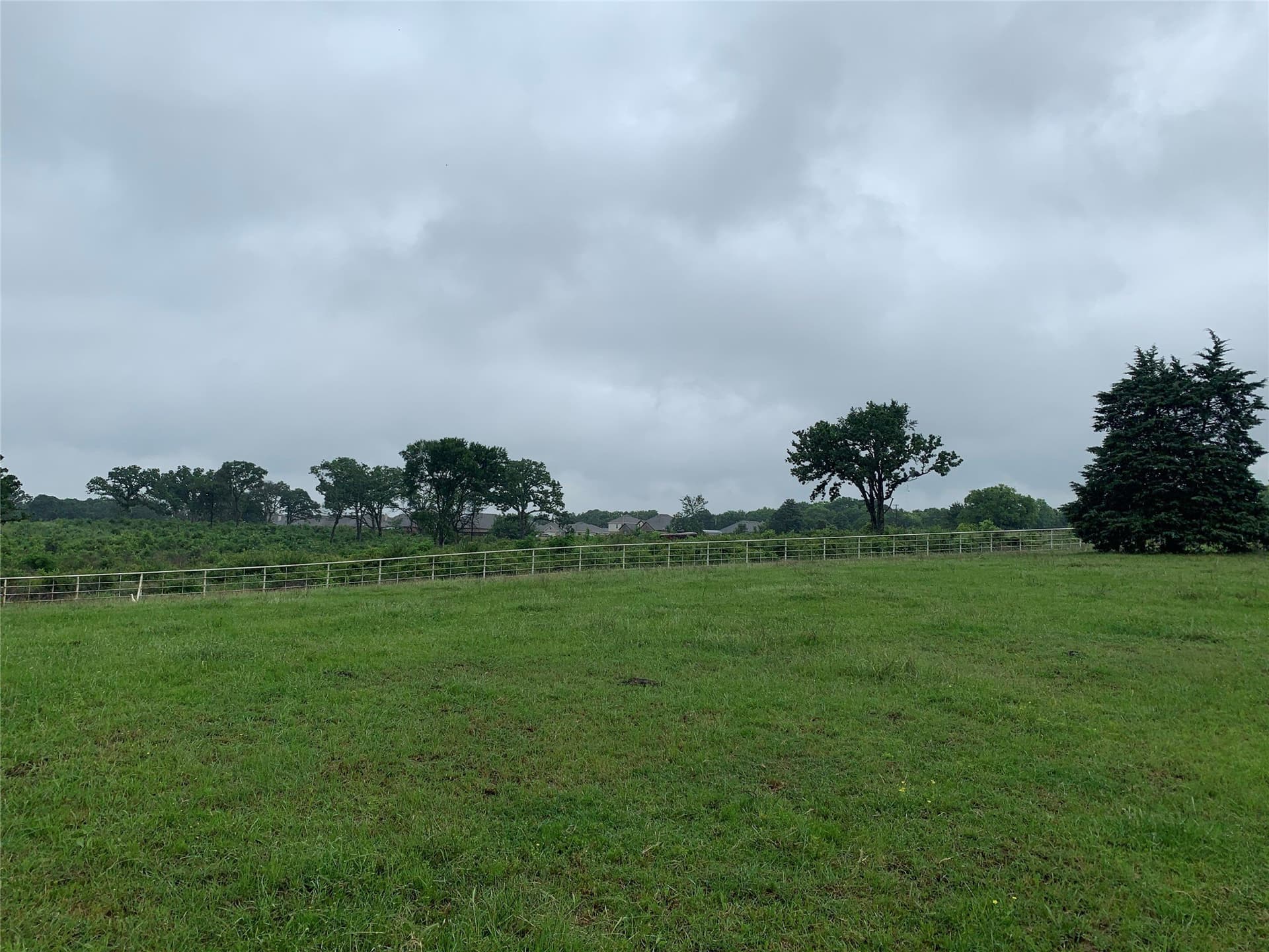 39.03 acres in Dallas County - photo 7