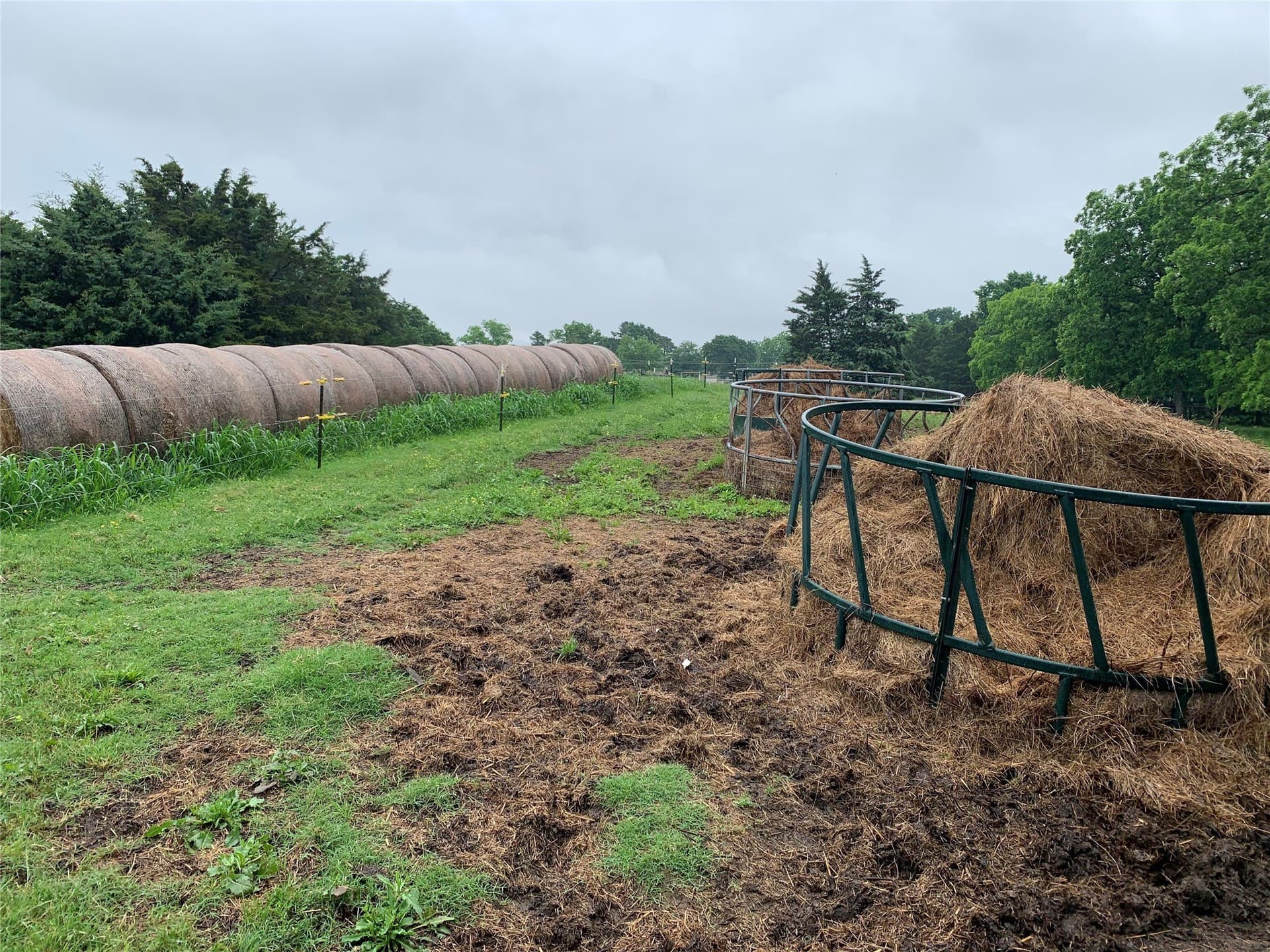 39.03 acres in Dallas County - photo 14