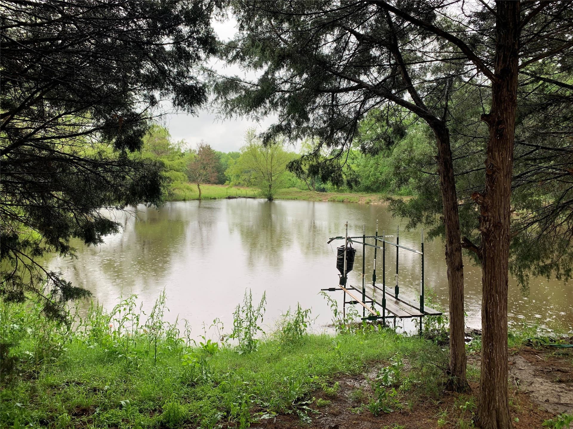 39.03 acres in Dallas County - photo 9