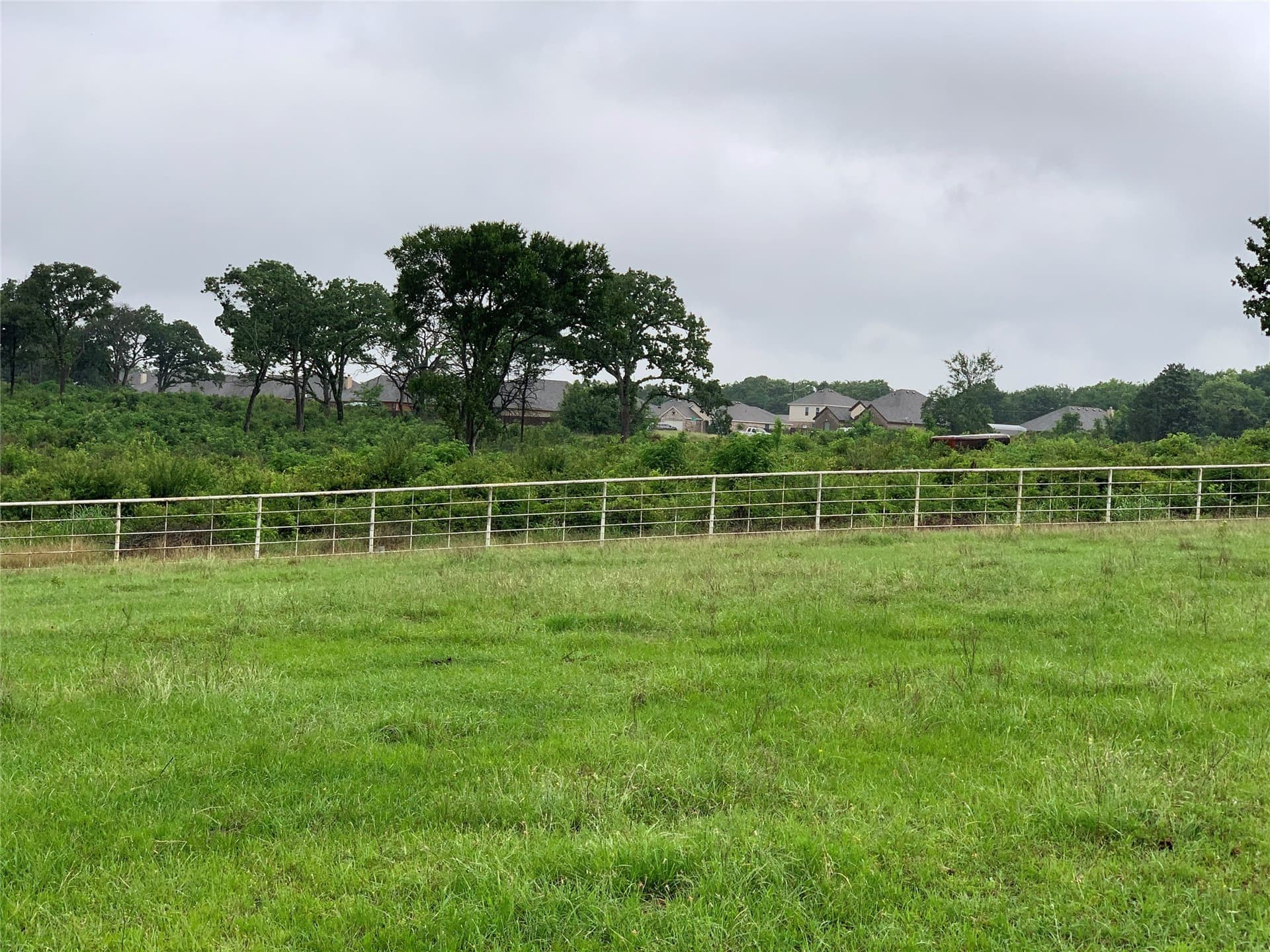 39.03 acres in Dallas County - photo 6