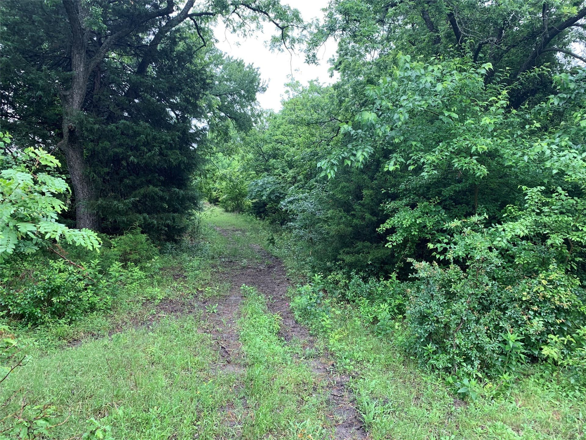 39.03 acres in Dallas County - photo 10