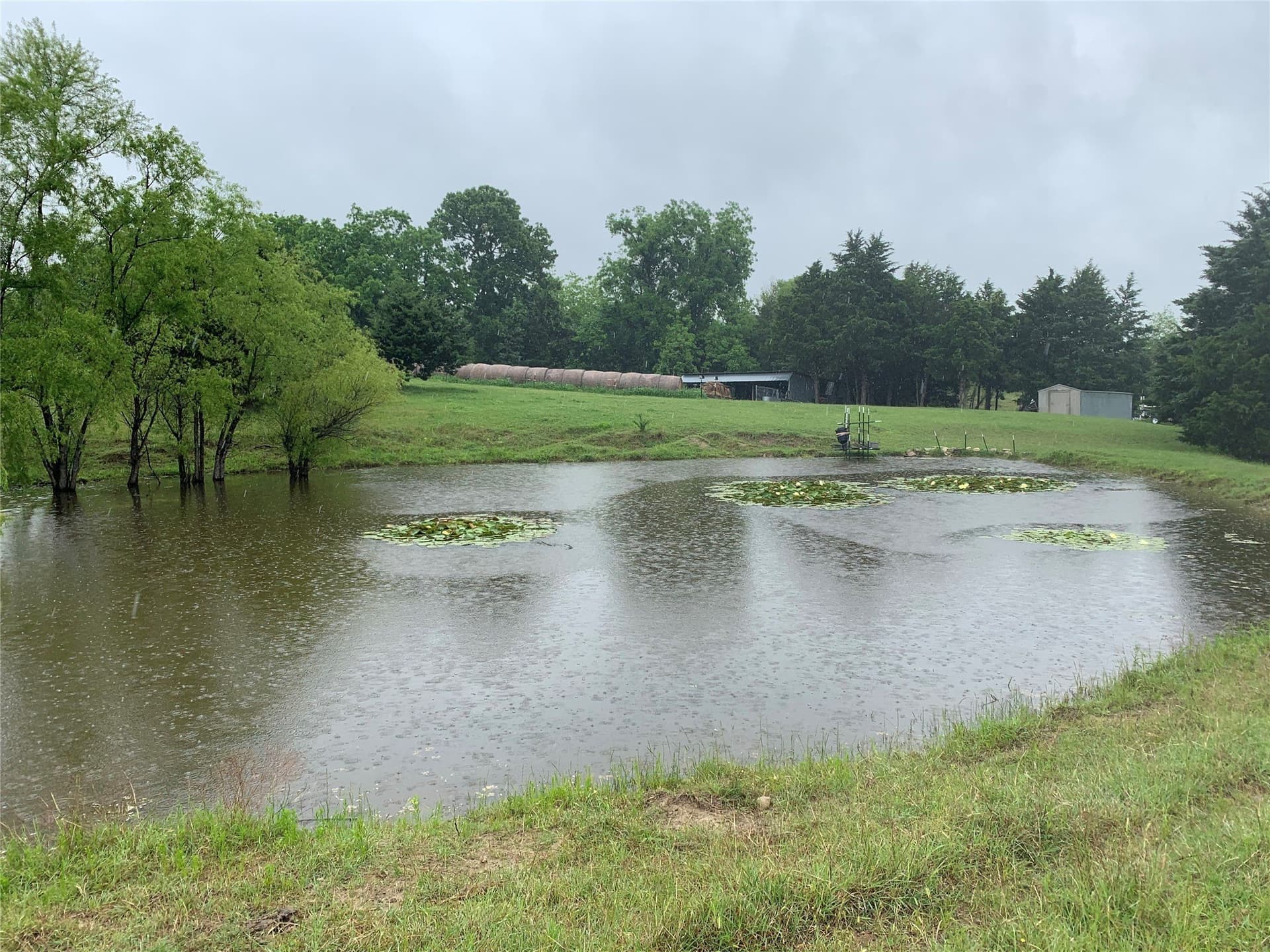 39.03 acres in Dallas County - photo 17