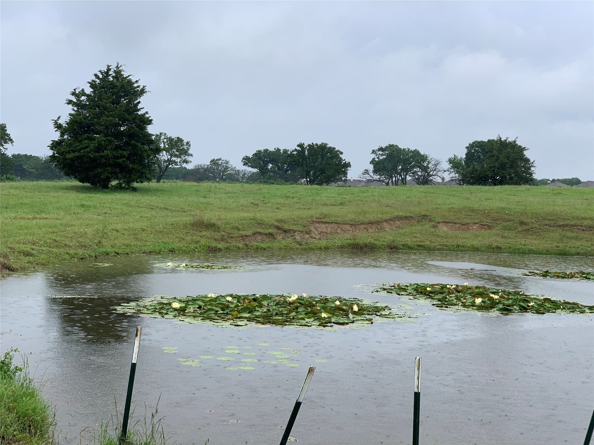 39.03 acres in Dallas County - photo 15