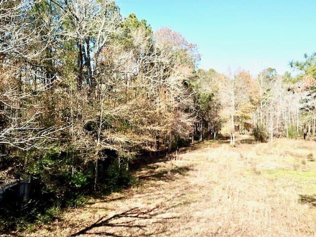 2.71 acres in Texas County gallery image 4