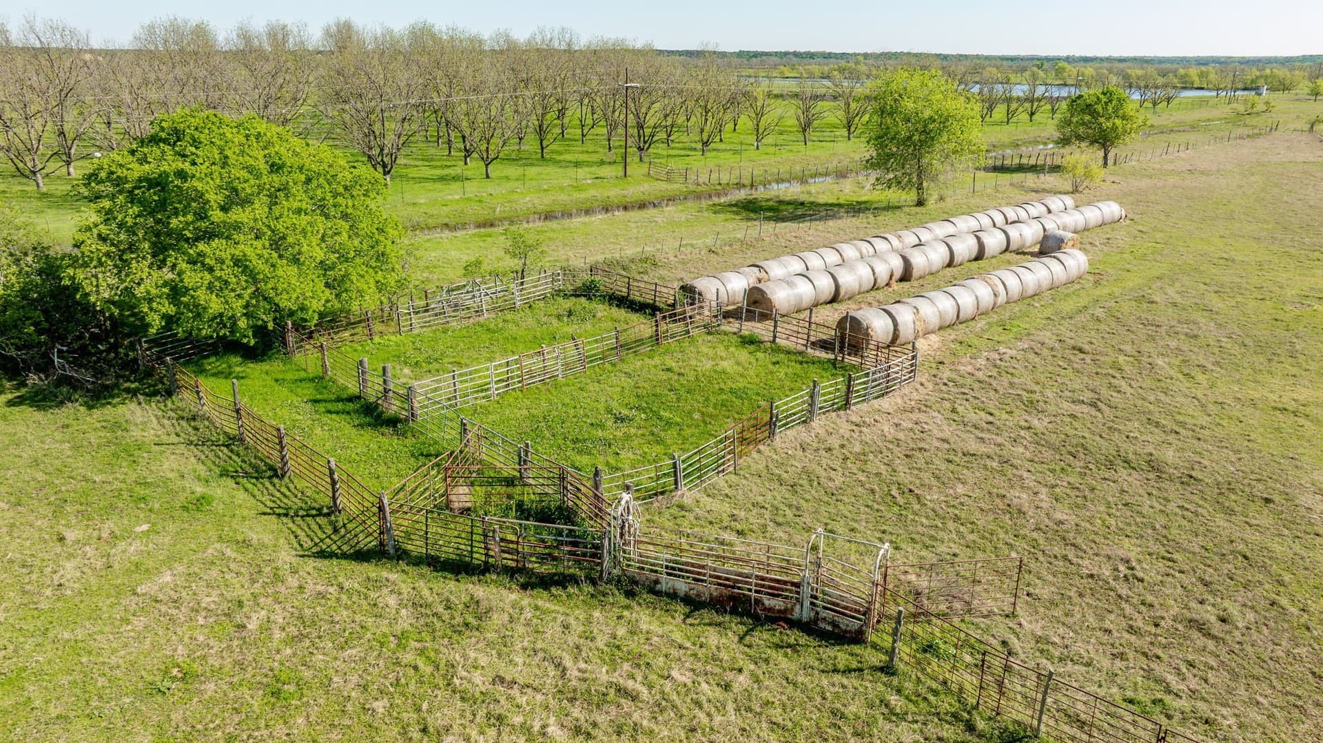 194 acres in Bosque County - photo 26