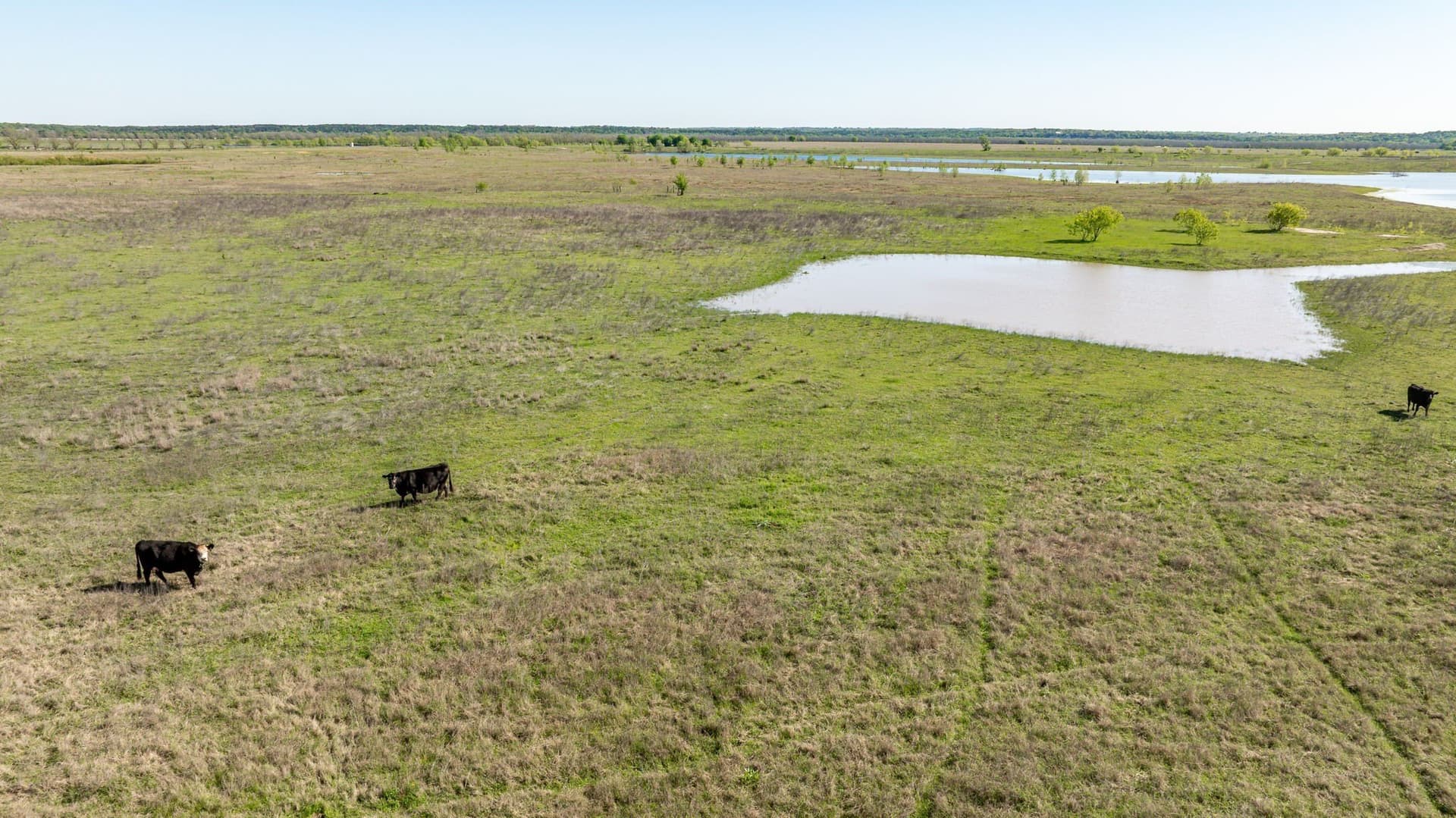 194 acres in Bosque County - photo 24