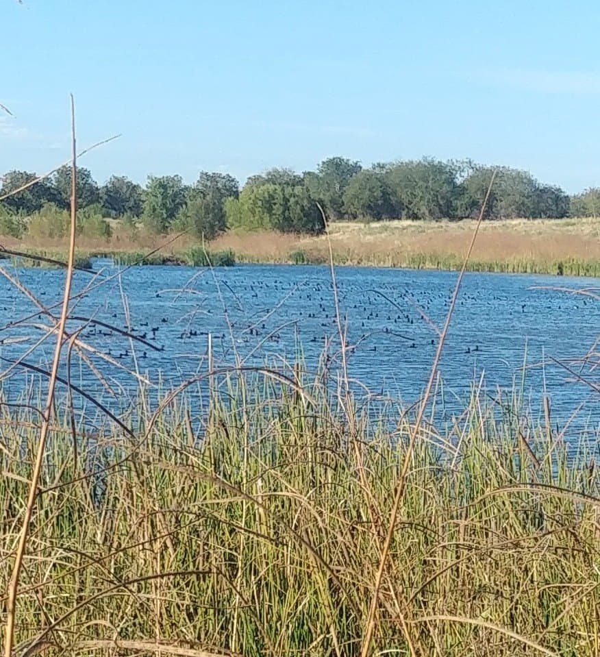 194 acres in Bosque County - photo 9