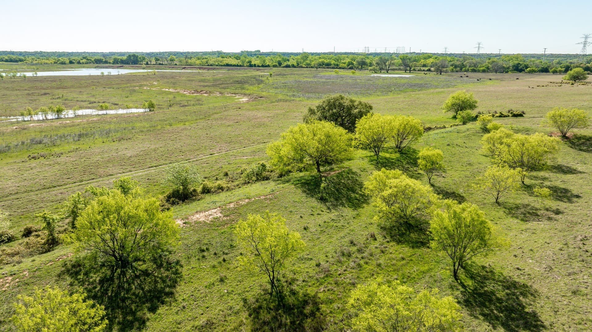 194 acres in Bosque County - photo 22
