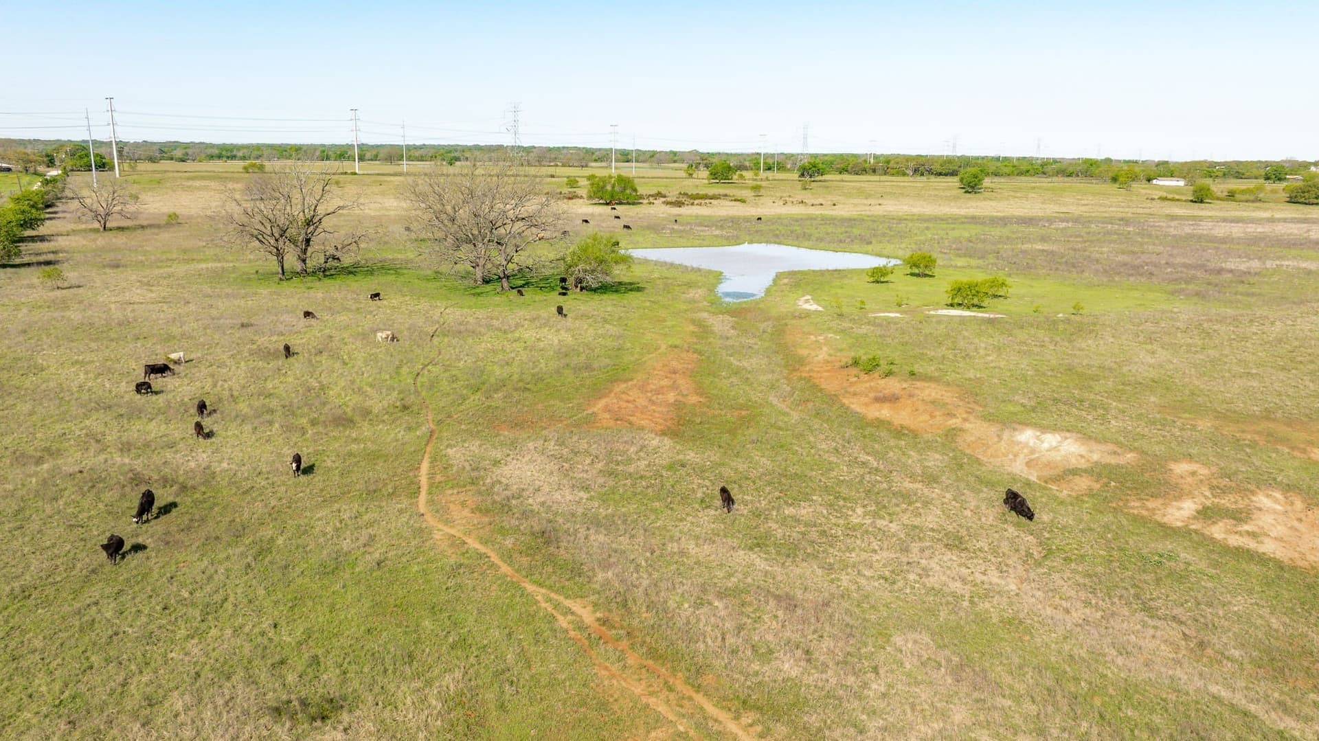 194 acres in Bosque County - photo 28