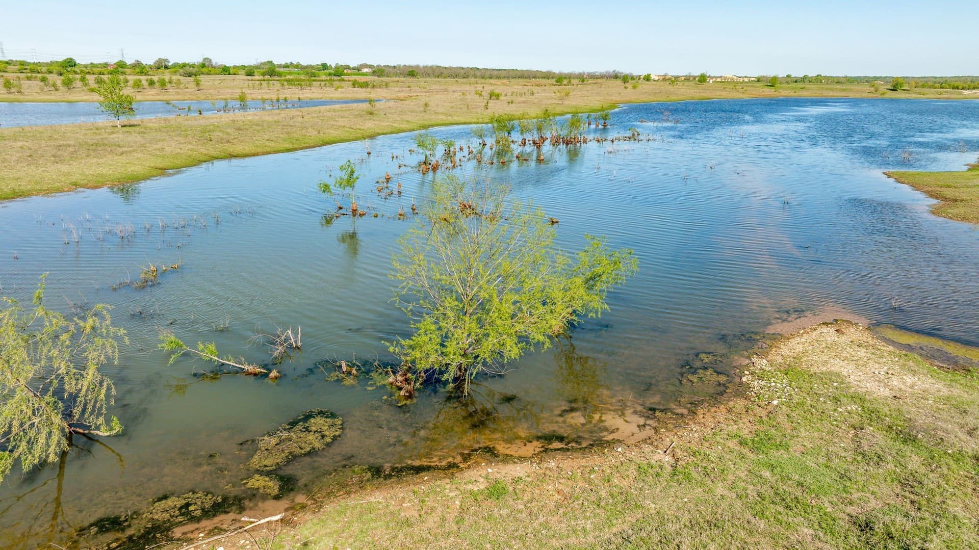 194 acres in Bosque County - photo 10