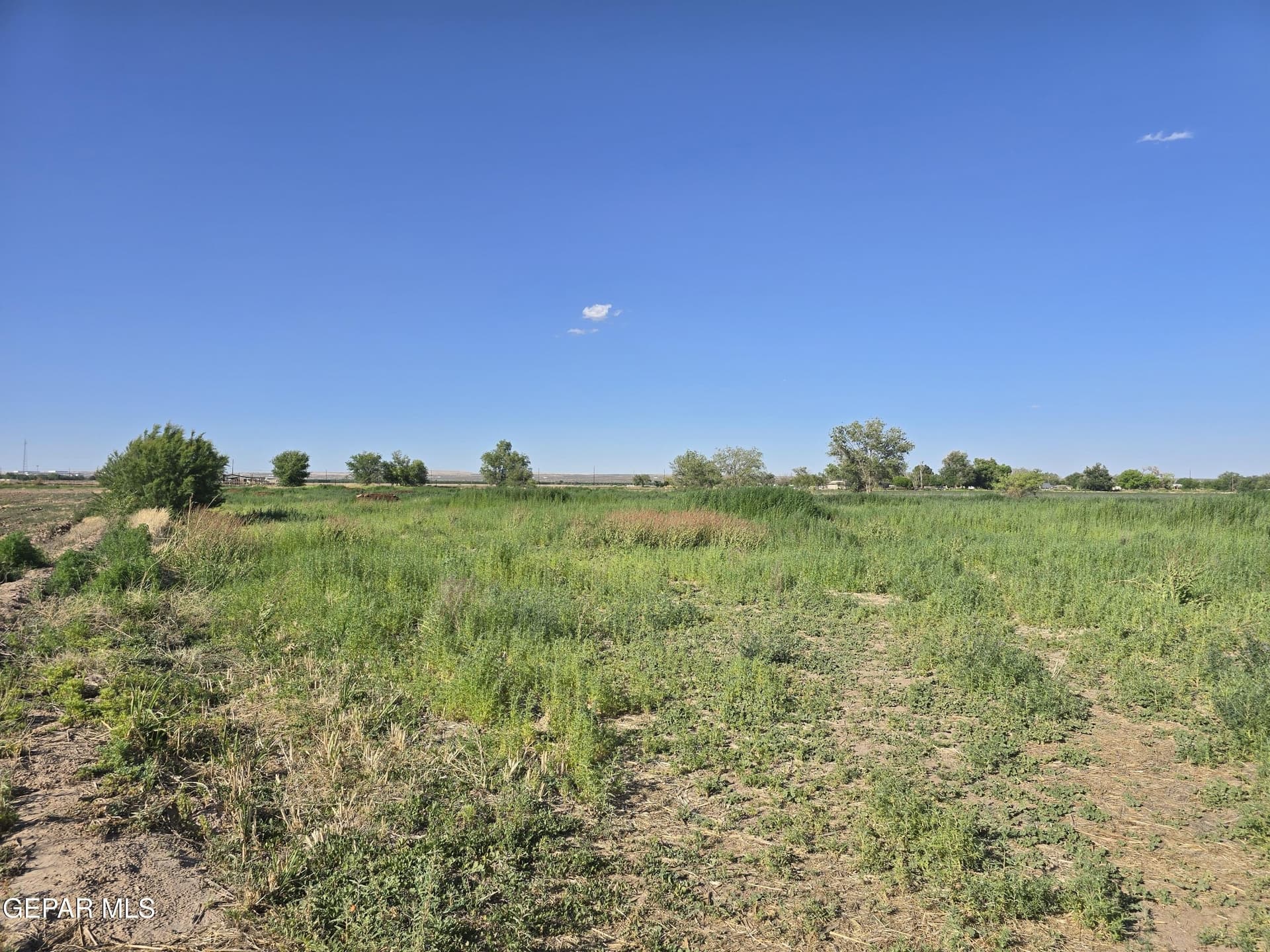 5.02 acres in El Paso County featured view