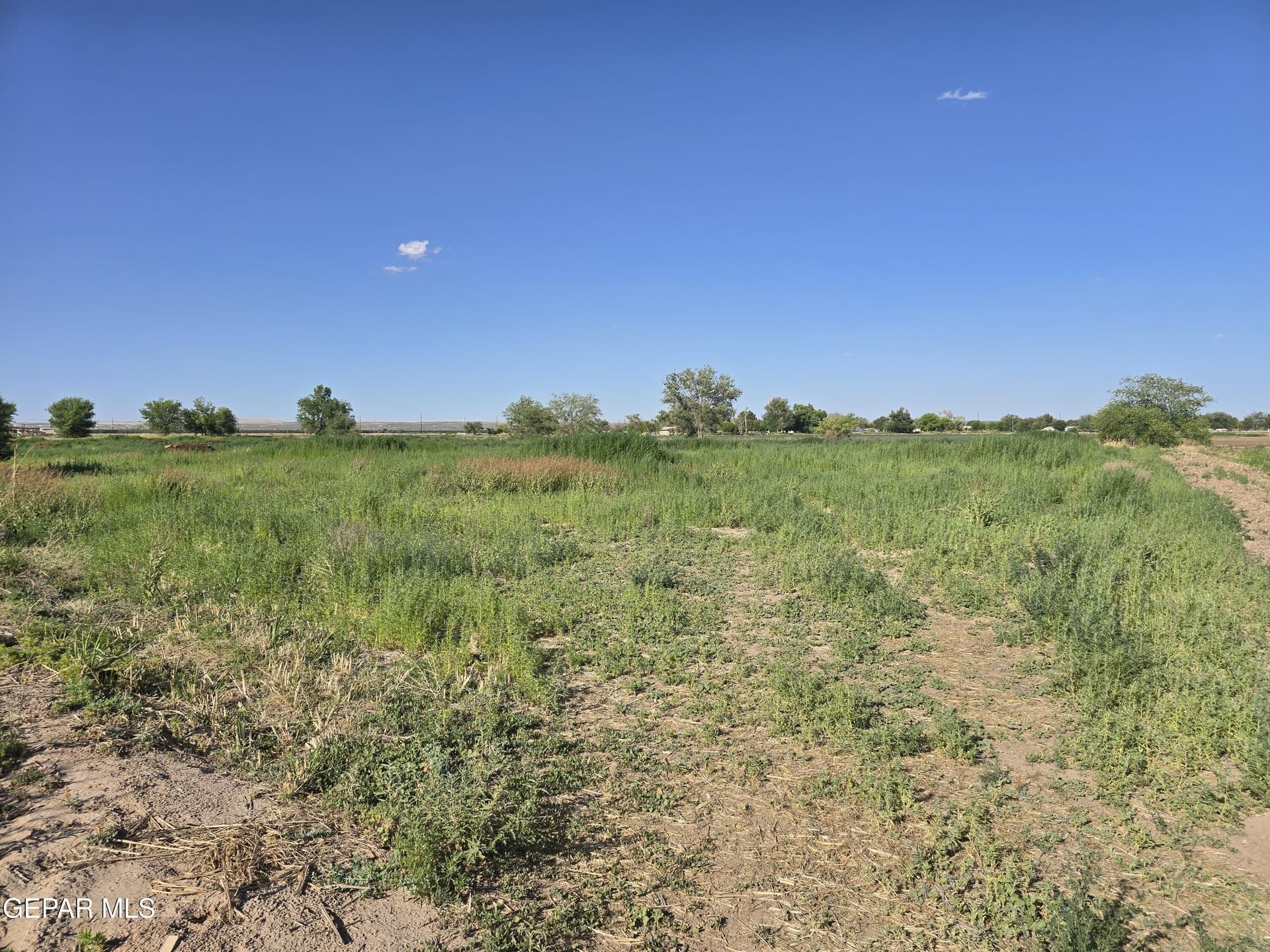 5.02 acres in El Paso County gallery image 4