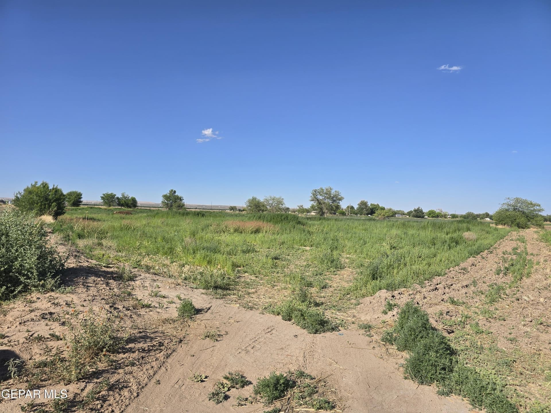 5.02 acres in El Paso County gallery image 3