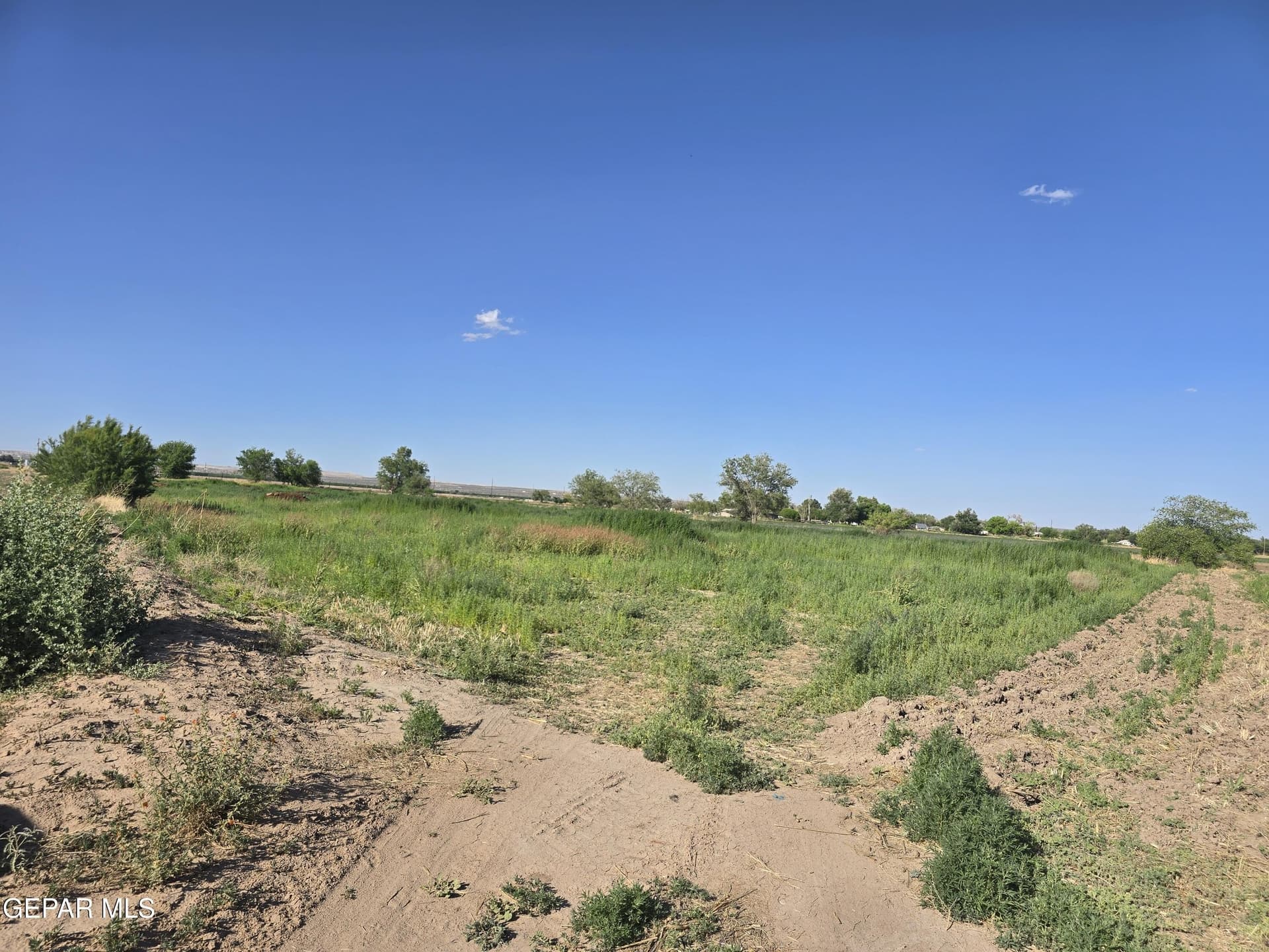 5.02 acres in El Paso County gallery image 2