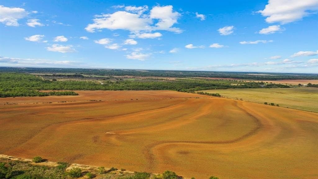 156 acres in Young County gallery image 2