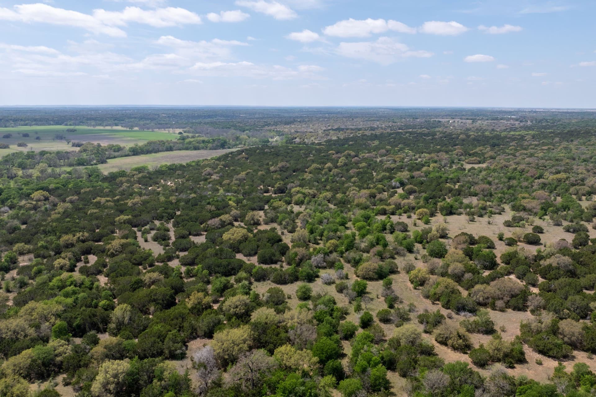 704.38 acres in Coryell County - photo 22