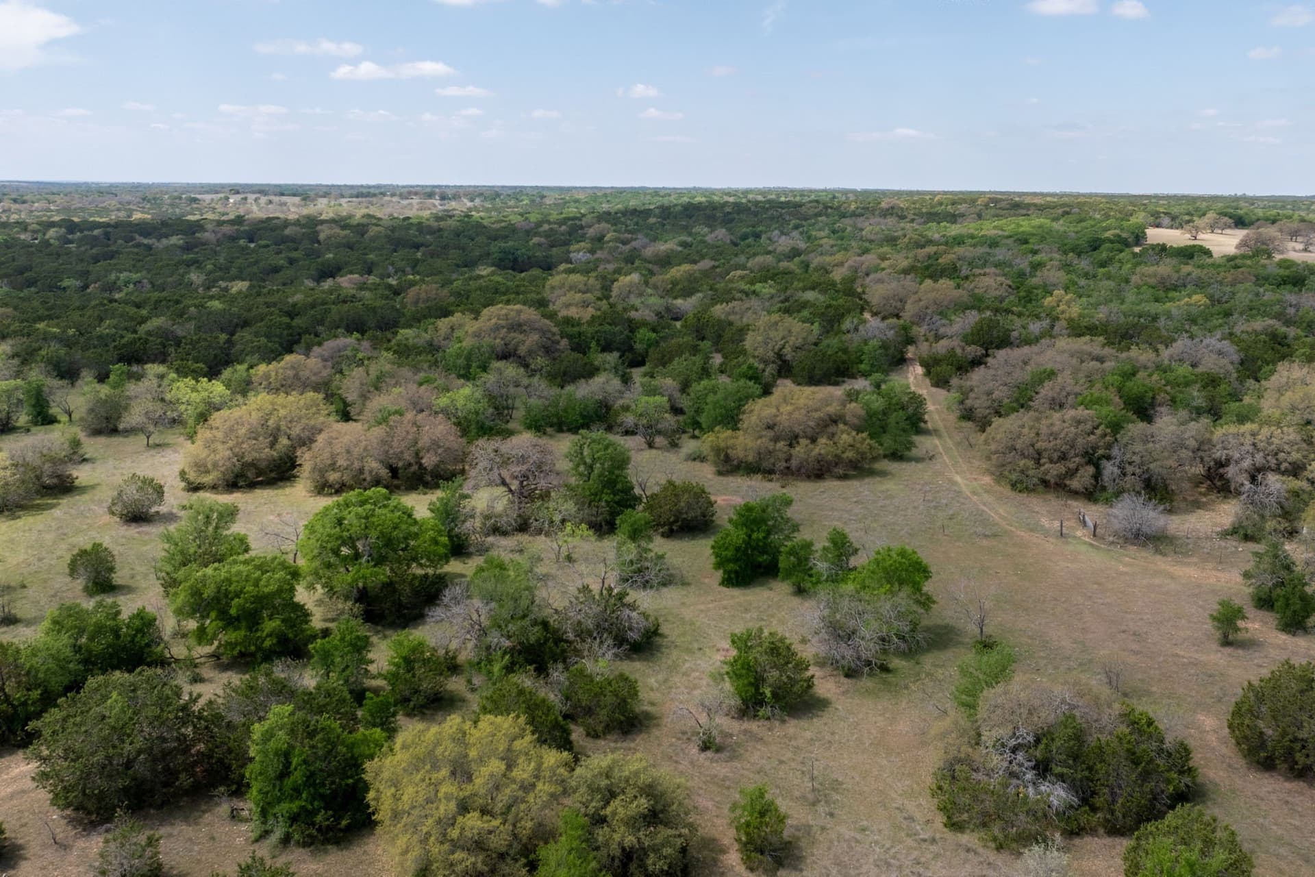 704.38 acres in Coryell County - photo 23