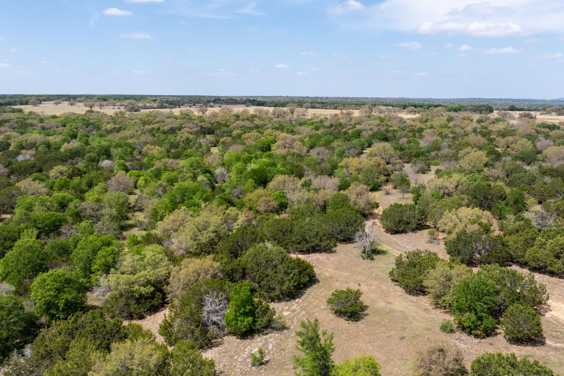 704.38 acres in Coryell County - photo 8