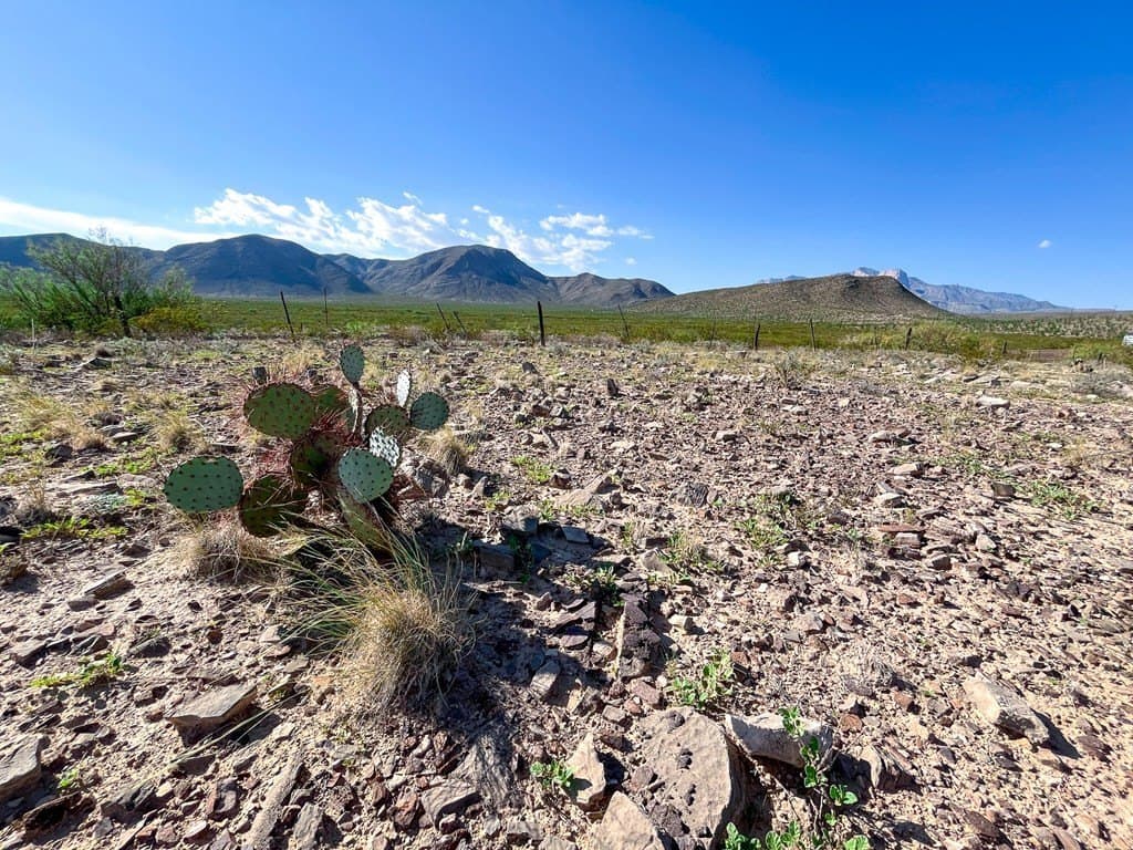 10 acres in Culberson County - photo 17