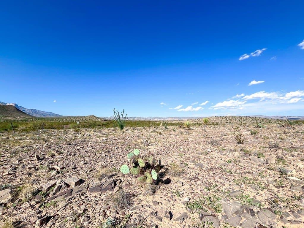10 acres in Culberson County - photo 20