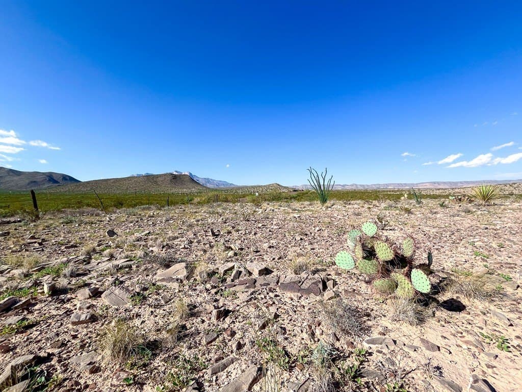 10 acres in Culberson County - photo 18