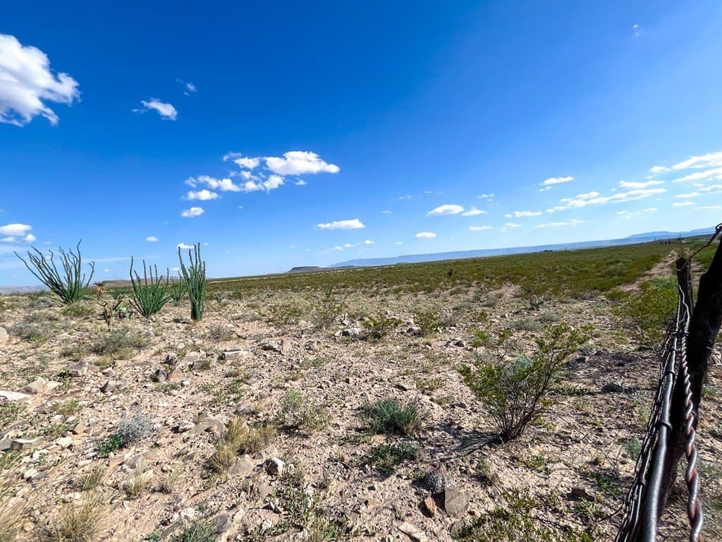 10 acres in Culberson County - photo 9