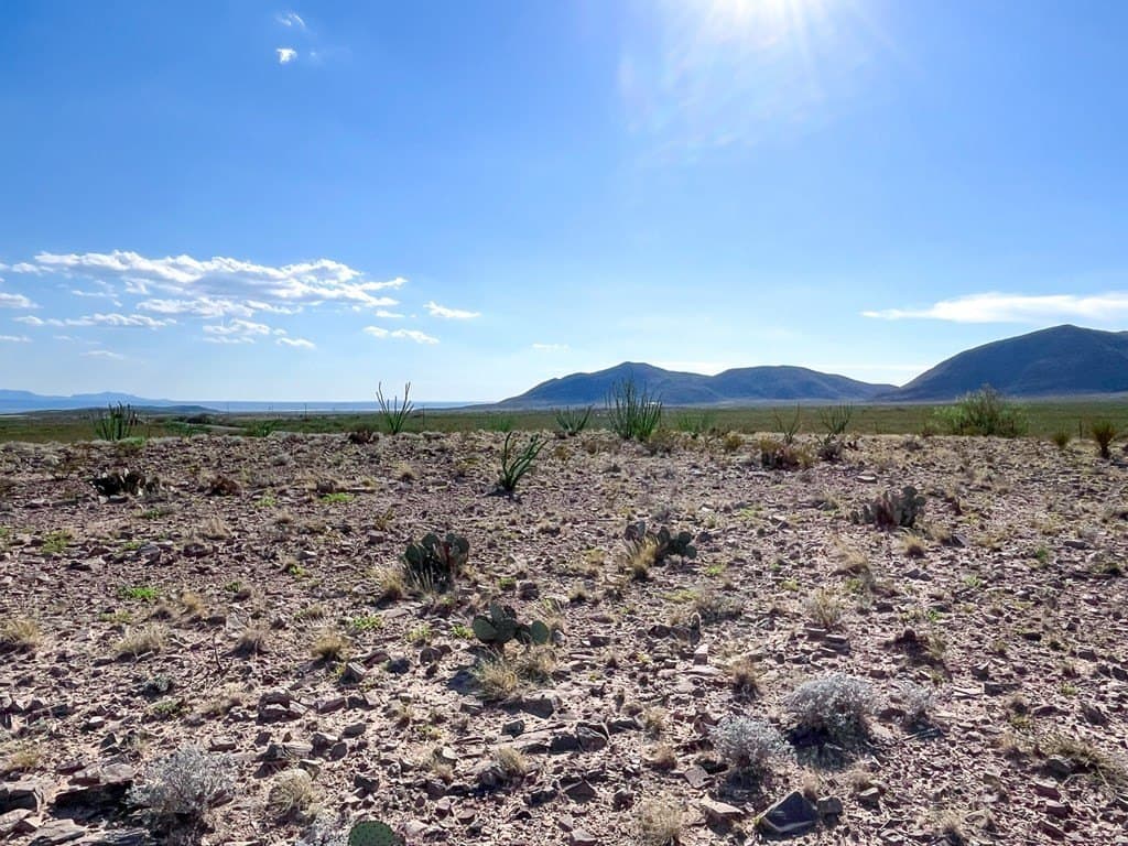 10 acres in Culberson County - photo 28