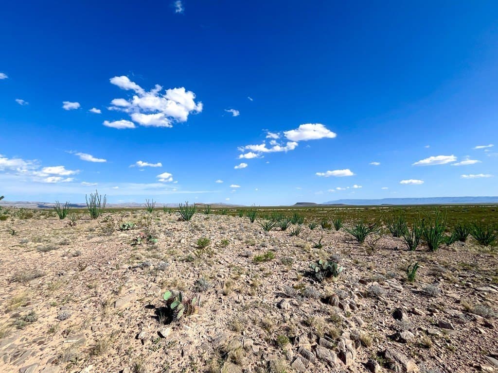 10 acres in Culberson County - photo 13
