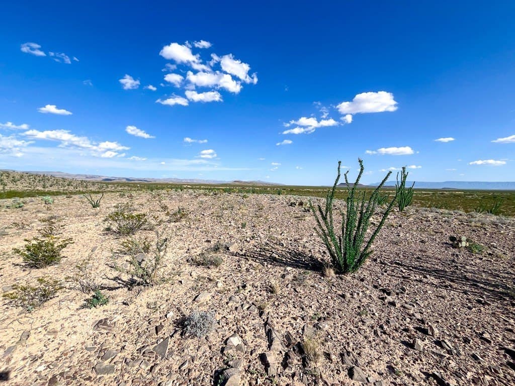 10 acres in Culberson County - photo 21