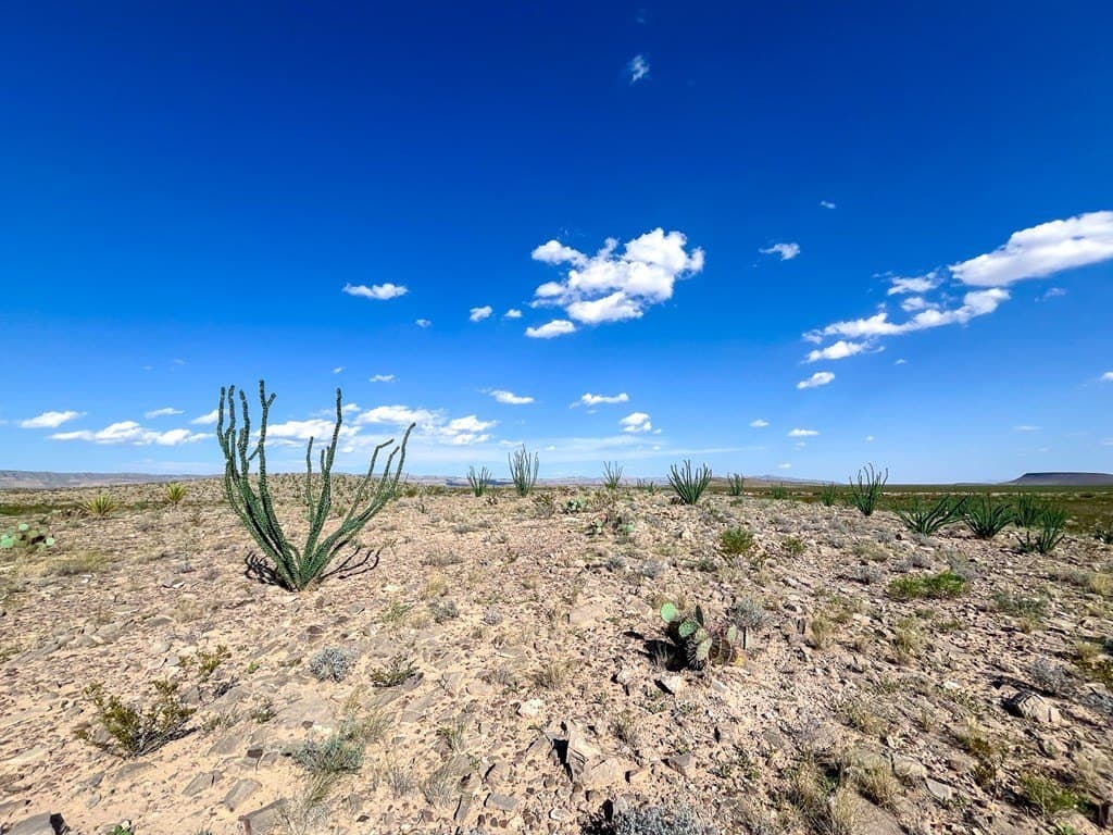 10 acres in Culberson County - photo 12