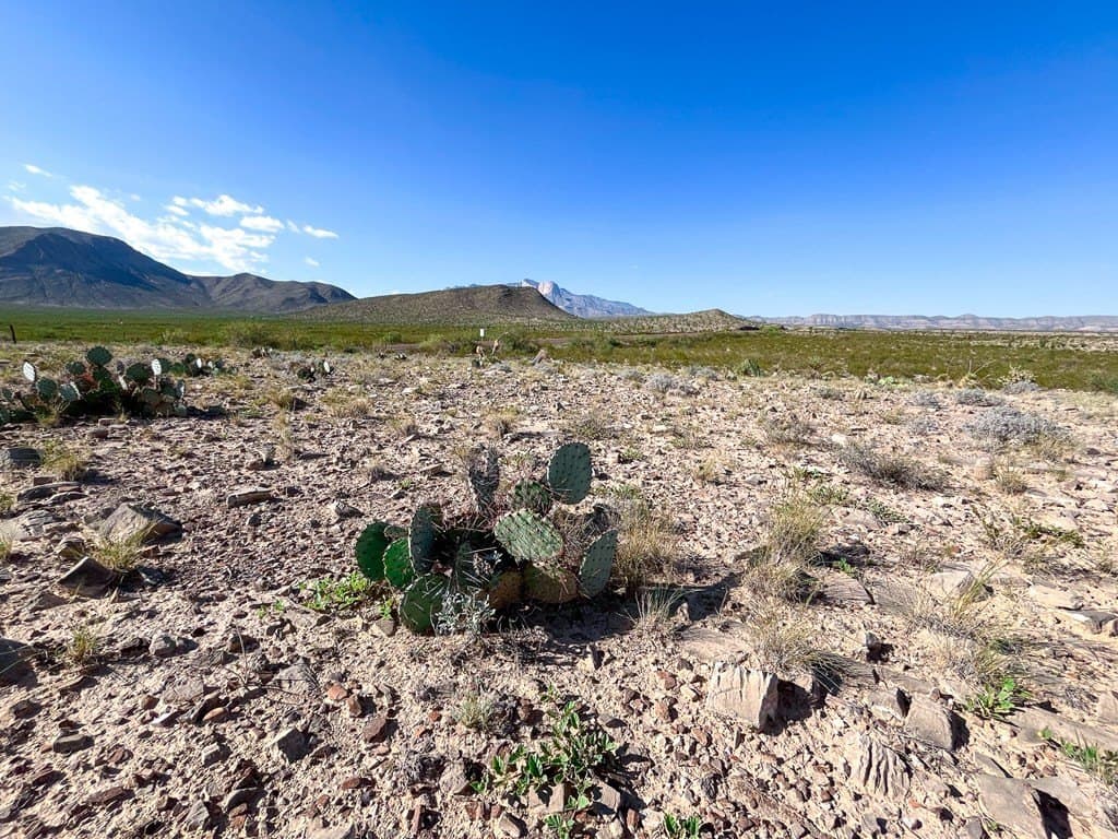 10 acres in Culberson County - photo 24
