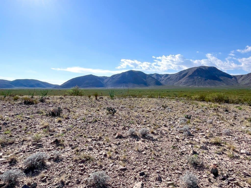 10 acres in Culberson County - photo 29