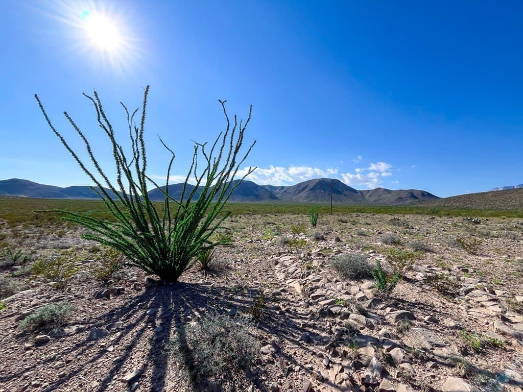 10 acres in Culberson County - photo 6