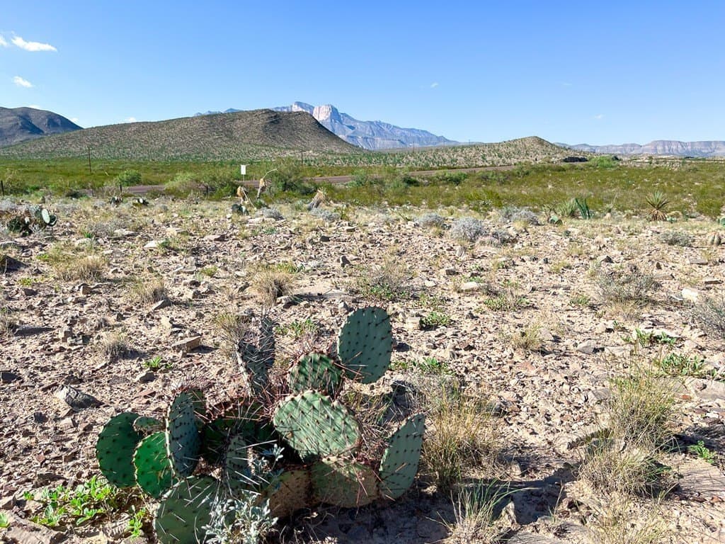 10 acres in Culberson County - photo 23