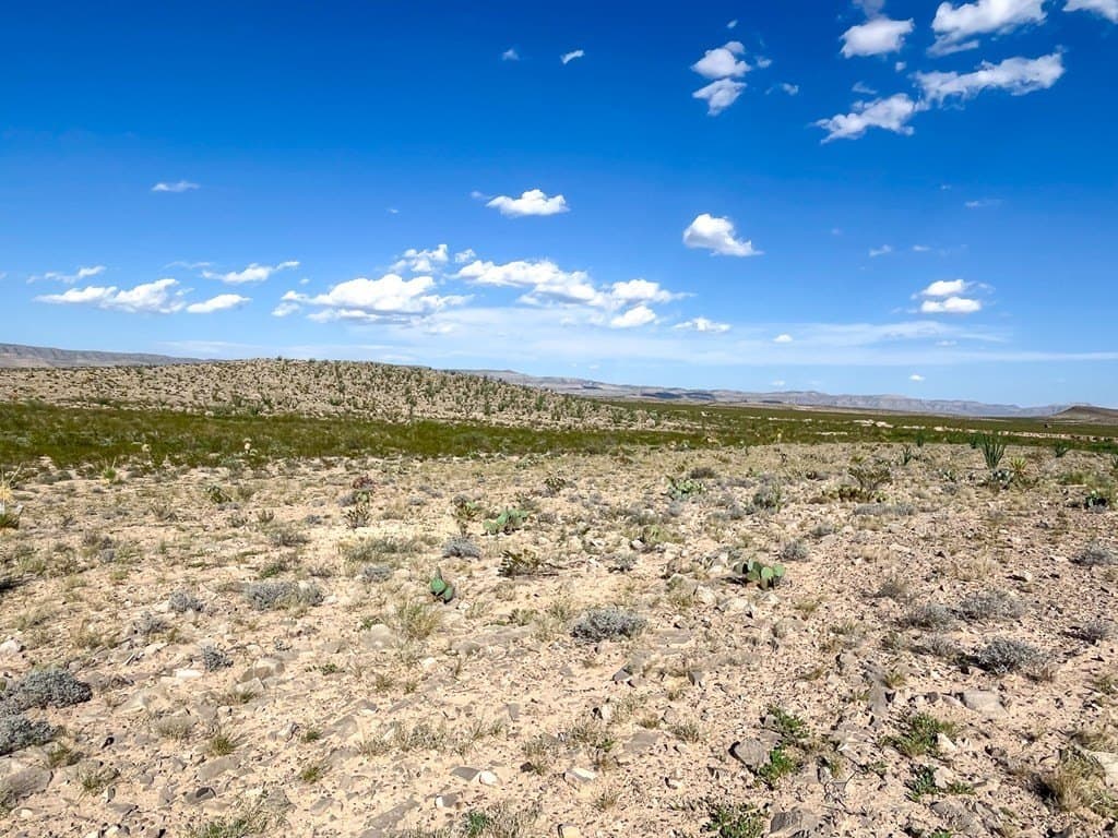 10 acres in Culberson County - photo 27