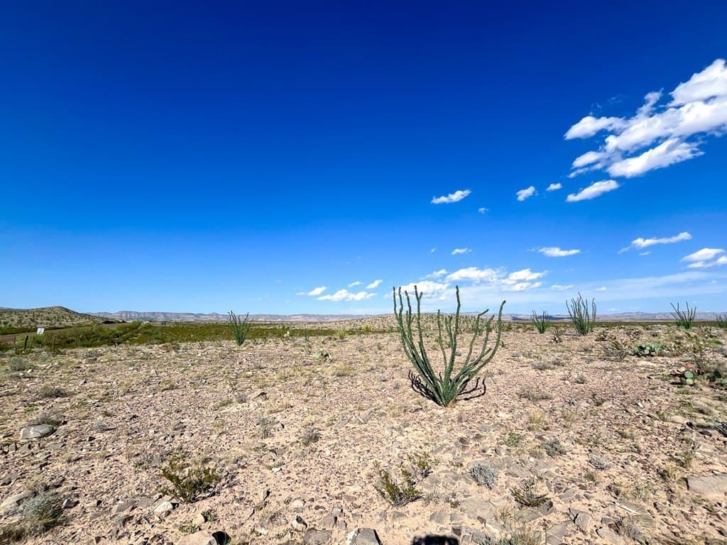 10 acres in Culberson County - photo 14