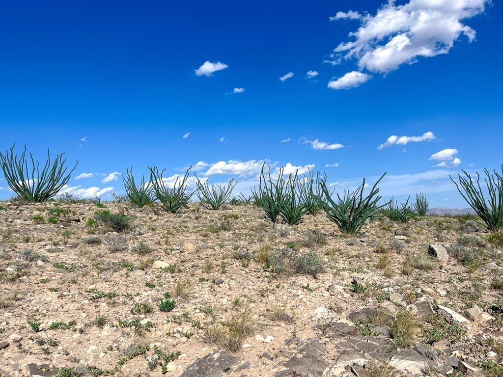 10 acres in Culberson County - photo 8