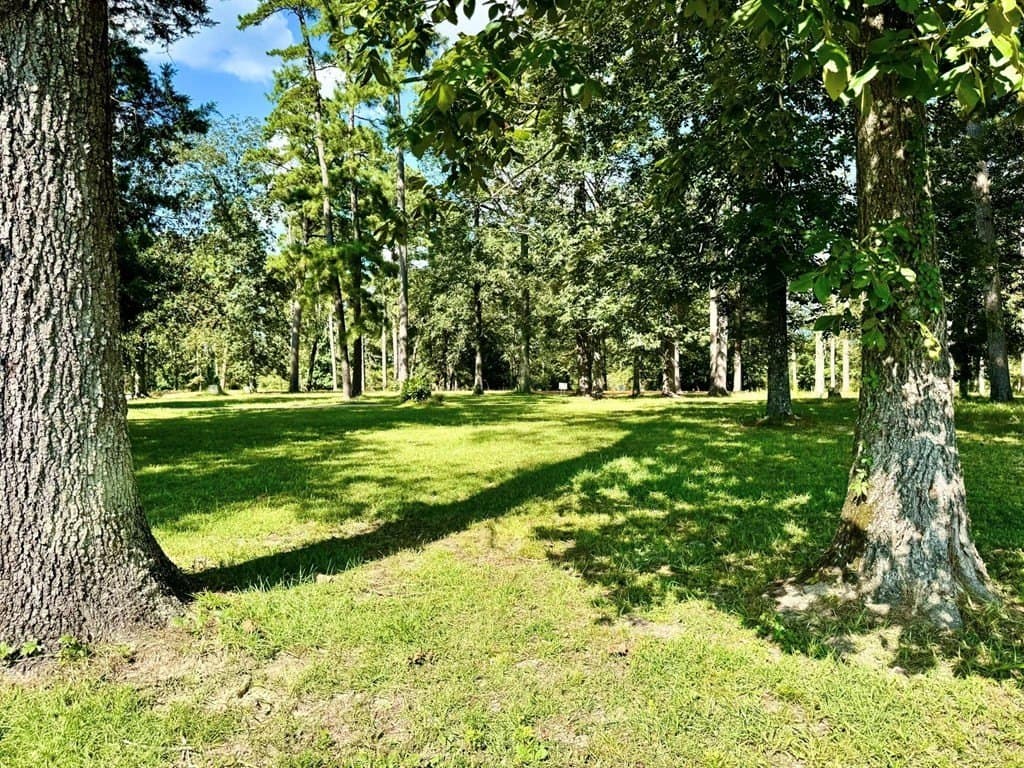 2.16 acres in Texas County gallery image 2
