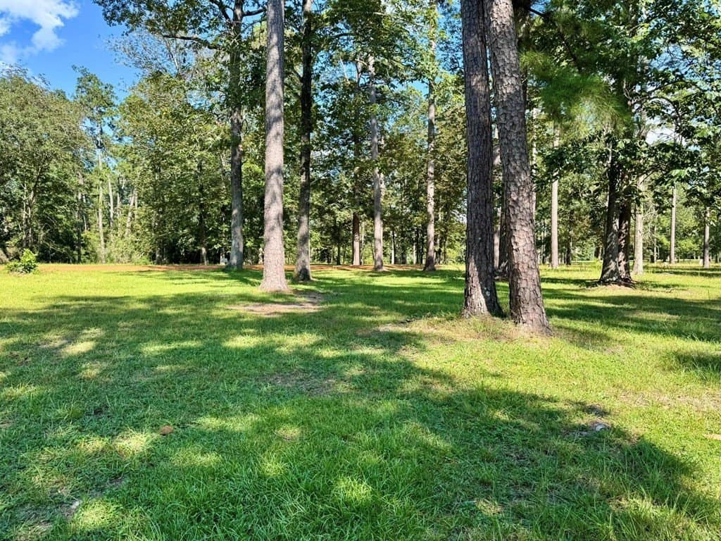 2.16 acres in Texas County gallery image 4